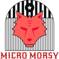 Micromorsyhd Morsy
