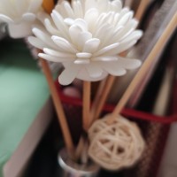 毛静怡