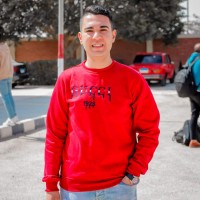 Mina Emad Talat