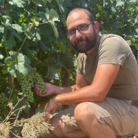 Simone Tozzi