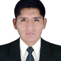 Jose Reynaldo Mamani Pilco