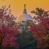 Tushar Mondal