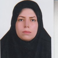 Ronak Rafipour