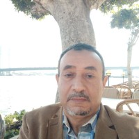 Assem Afify Mahmoud
