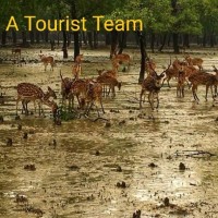 A Tourist Team