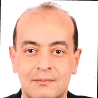 Mohamed Wael Radwan