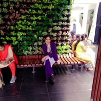 Divya Bharathi