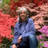 Judy Royce-Cohen