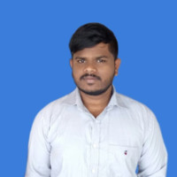 Vignesh K