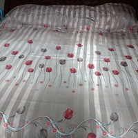 Ing. Montoya blancos