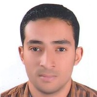 Abdelwahab Mohamed Elshaarawi