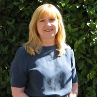 Cindy Lipp