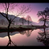Eric Ruane