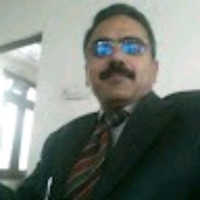 M Tariq Shafique