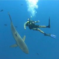 Abdulrahman Baothman