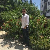 Berkin Sonçağı, IWE