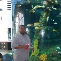 Tim Quattlebaum