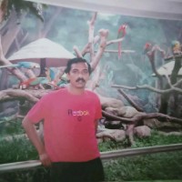 Sudhaker Ramani