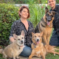 Amy Herrington-Firth, Rvt, Ccfp