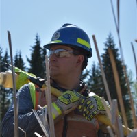 Winston N. Jamieson