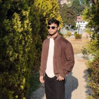 Abhrajit Ray