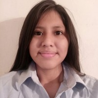 Berti Guaricela
