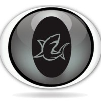 Shark Eye