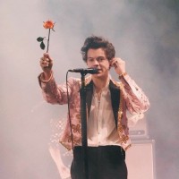 Harry Styles