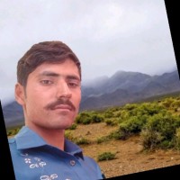 Ghulam Mustafa