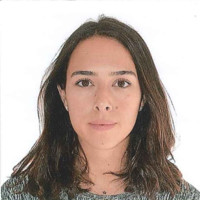 Yasemin Leopold-Metzger Elçi