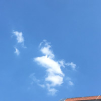 王永乾