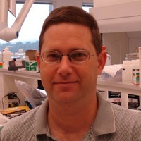 John Brunstein