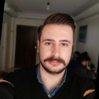mohammad amin aliee