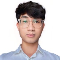 Duc Anh Mai