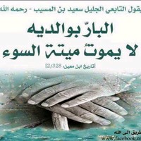 ali sobh