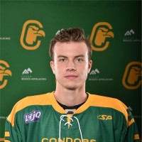 Justin Deblois