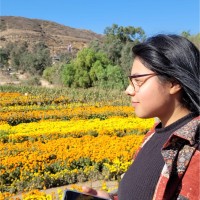 Michell Marquez