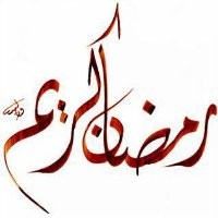 yassine yoyo