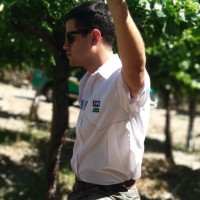 Gerardo Mercado Gallardo