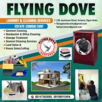 Victor Oluwayemi Fadeyi