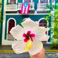 Joanna Kercado, MBA HRM