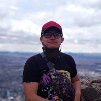 Fabian Leonardo Herrera Martinez