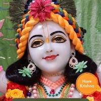 Rajeev Yadav