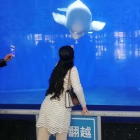 葛佳琪