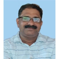 Narayanan P