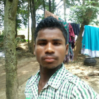 Palash Mudi