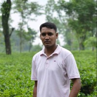Razib Hosain