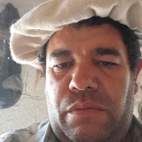 nelson zaccara da luz