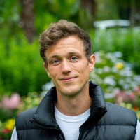 Jobe Layton
