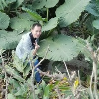杨汉生